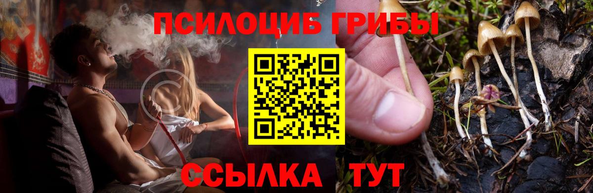 Галлюциногенные грибы мицелий  Вход с VPN  Анапа 
