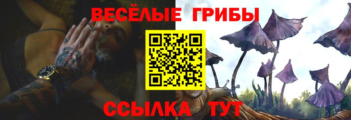 Галлюциногенные грибы GOLDEN TEACHER Анапа